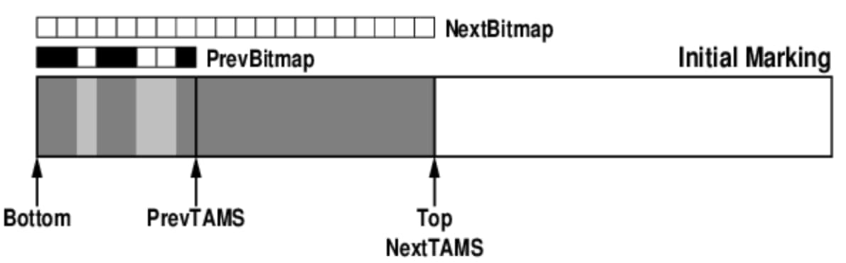 G1 next cycle TAMS