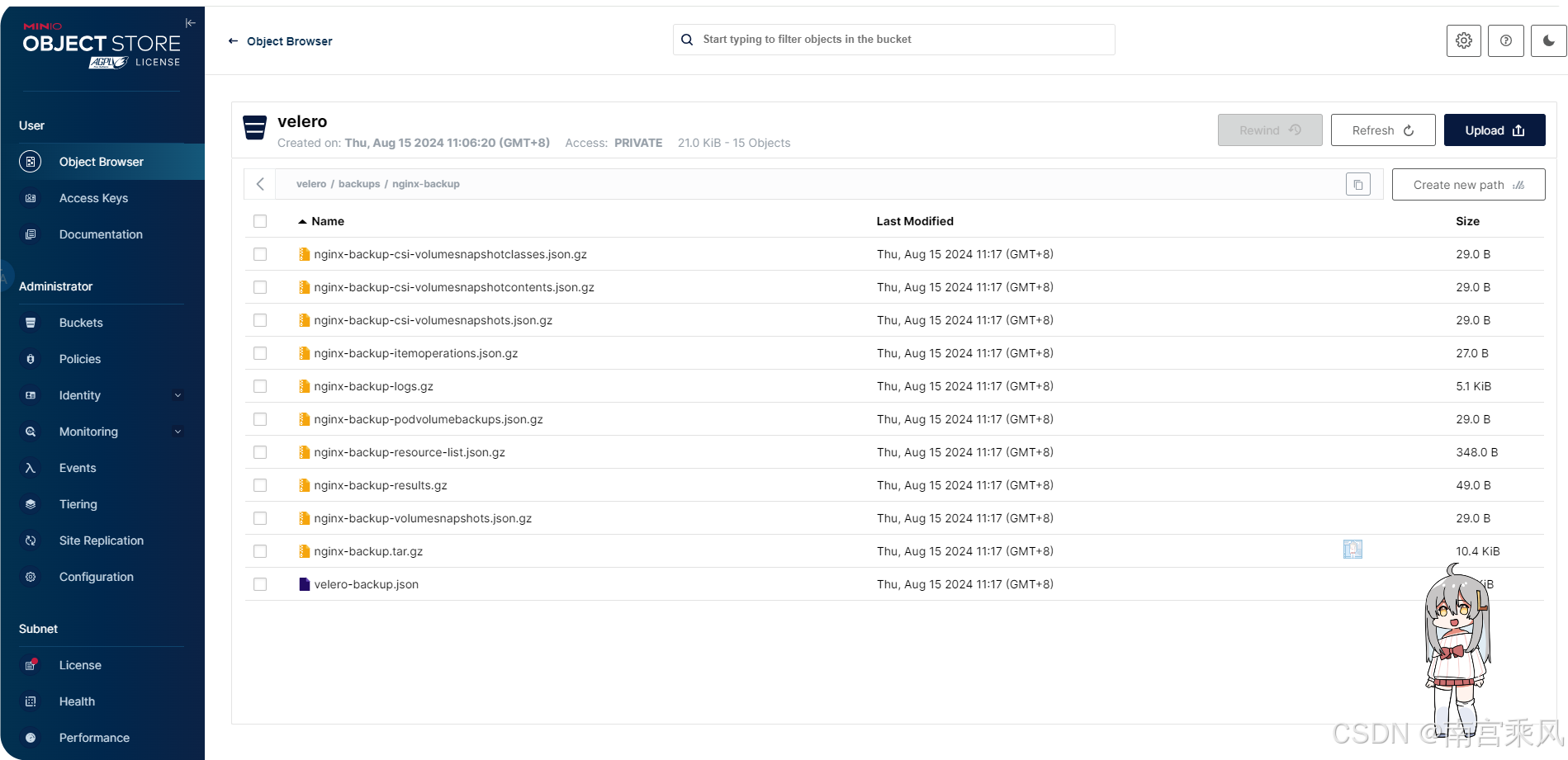 Backup data visible in MinIO