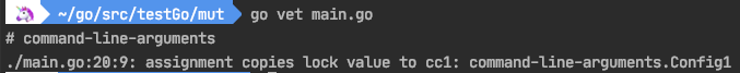 go vet output
