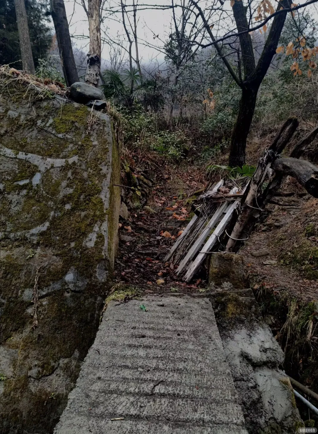 Mountain path
