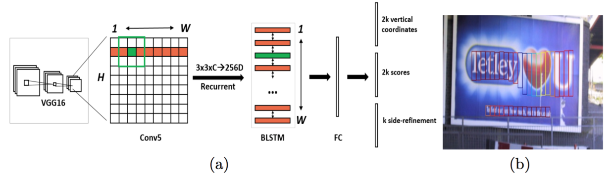 CTPN Figure 1
