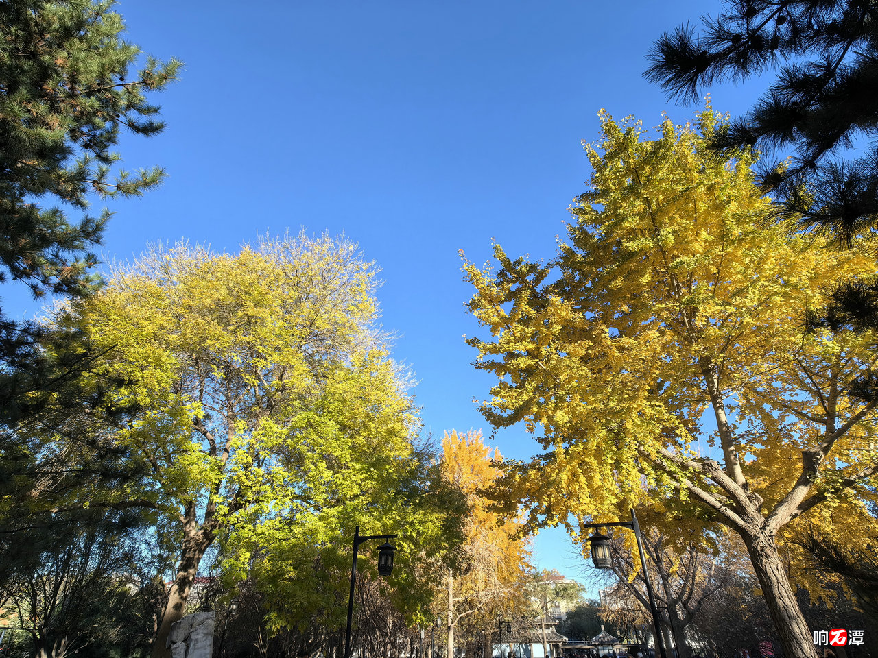 Autumn scene