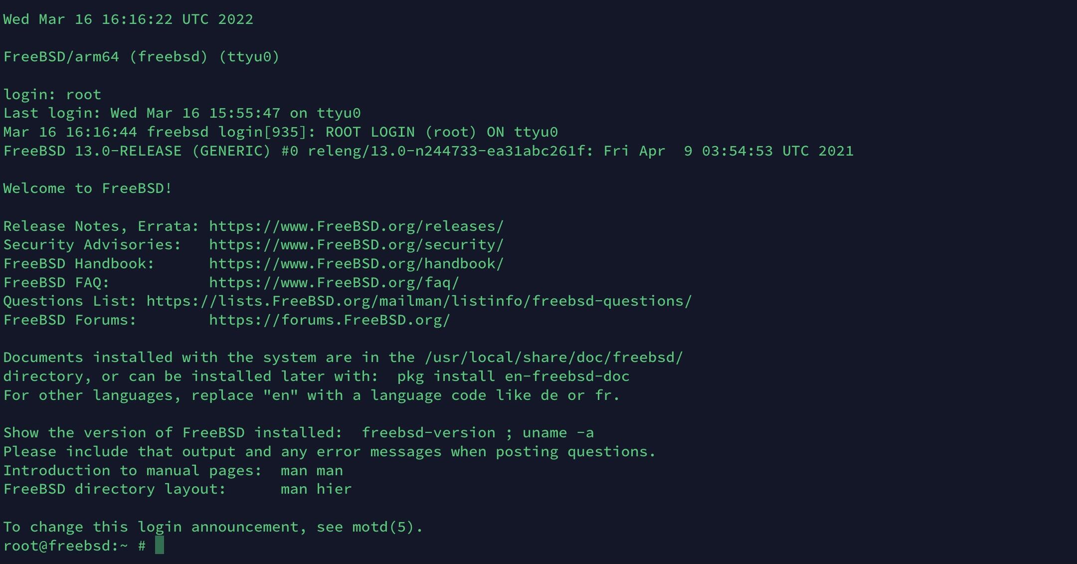 FreeBSD terminal view