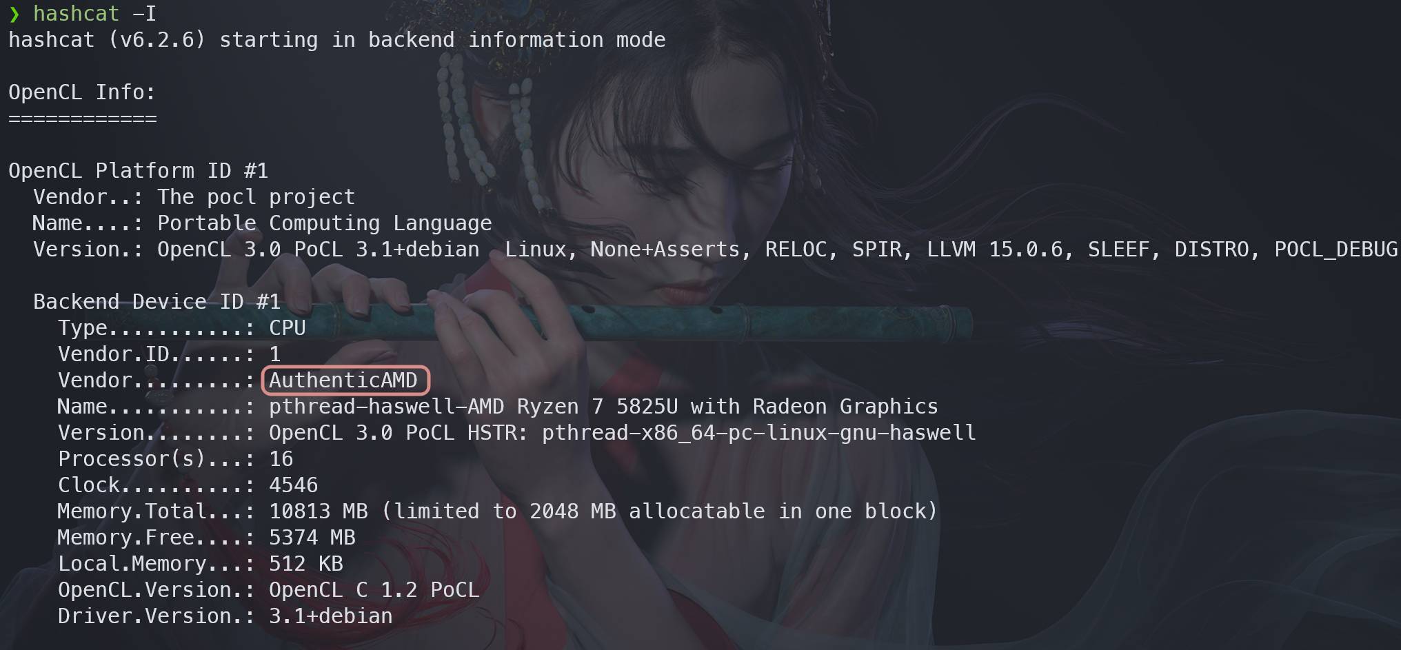 AMD driver example