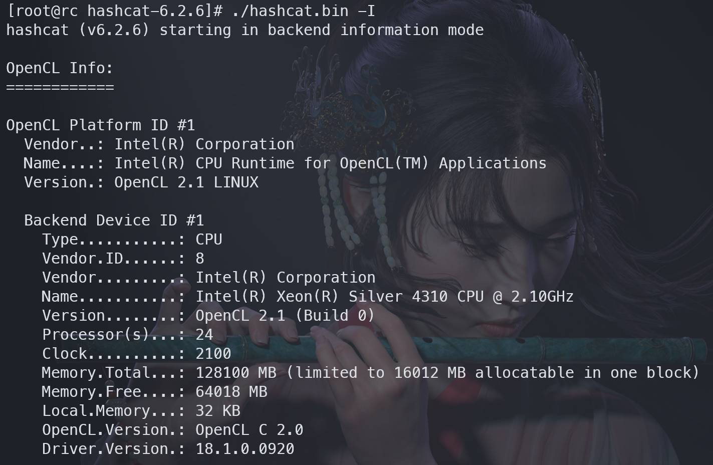 backend info output